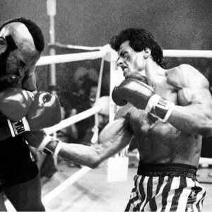 dynami senior boxe 2