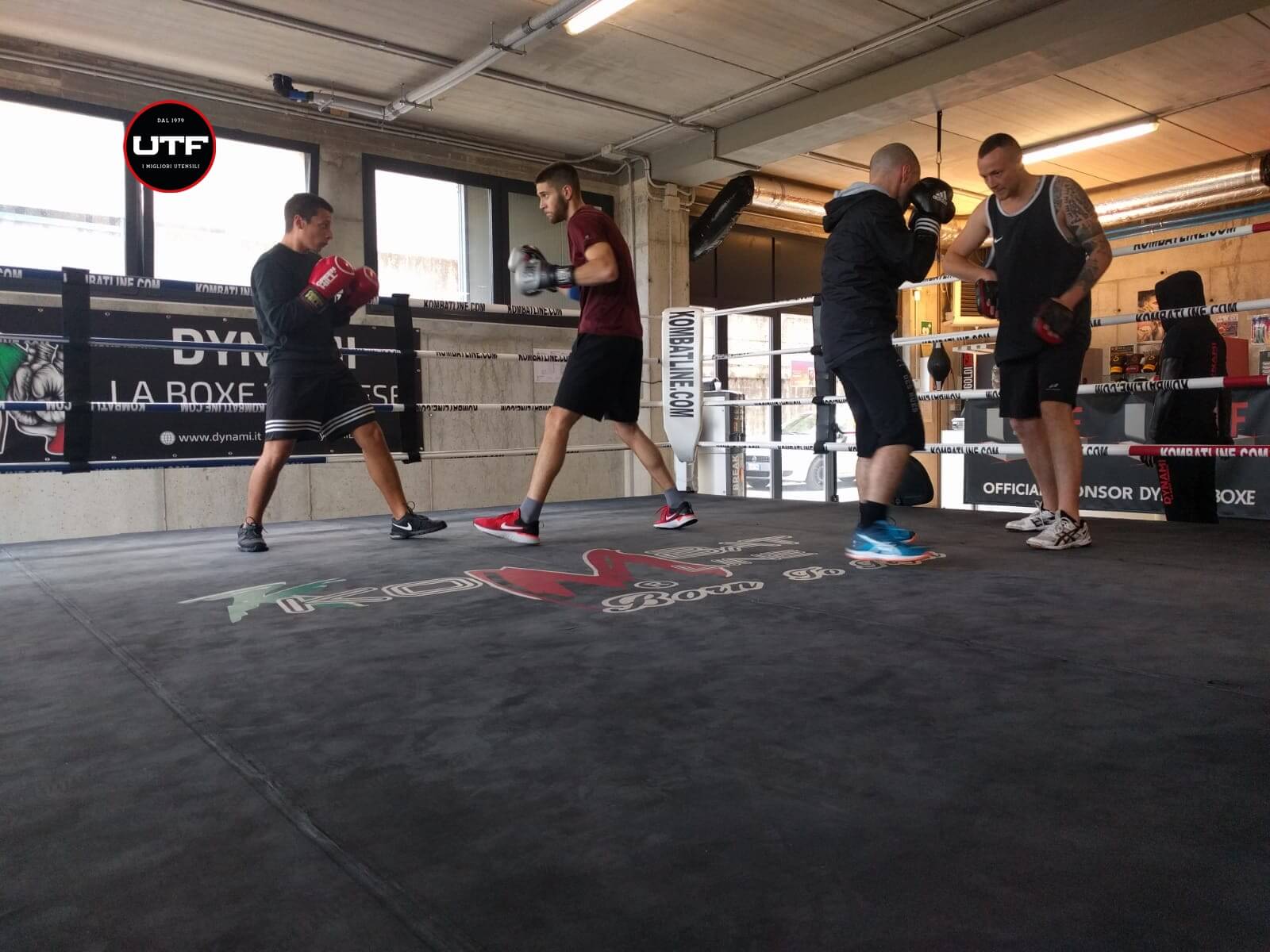 dynami teen boxe