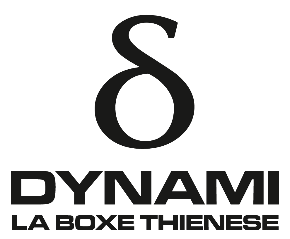 Logo dynami